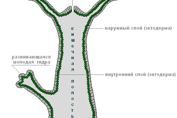 Ссылка на кракен в браузере