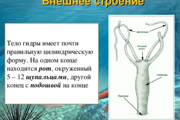 Где найти ссылку на кракен